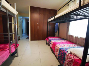Bed Space For Females Near Metro Station, Dubai